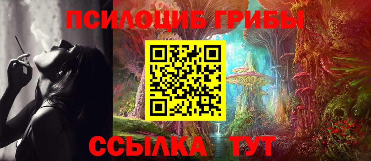 Псилоцибиновые грибы мицелий Елабуга